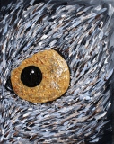 L'Oeil de l'aigle - Divers