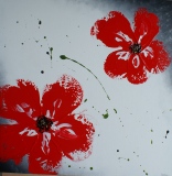 Série florale n° 6 - Fleurs