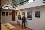 lidwine-leduc - expo perso salle des amis des arts