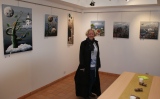 lidwine-leduc - expo perso salle des amis des arts